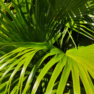 色色资原Av在线
